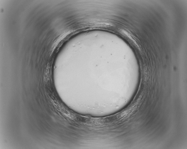 X0000058110875200510171242