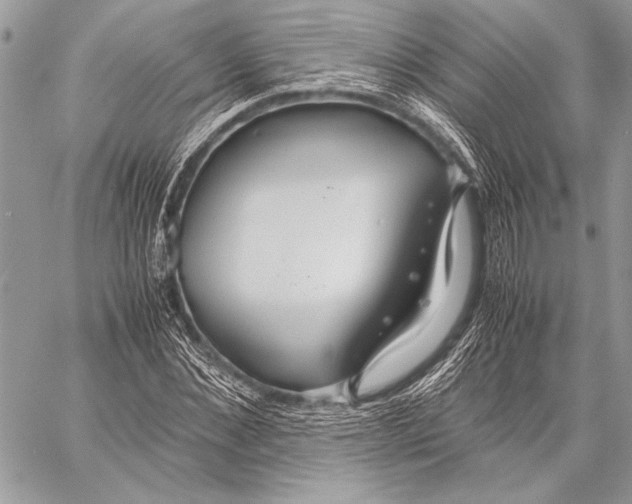 X0000058110876200510171242