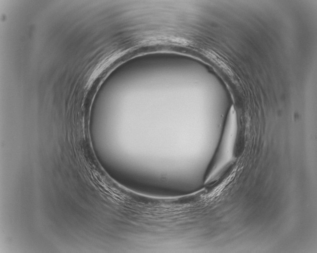 X0000058110877200510171242