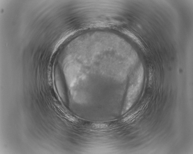 X0000058110878200510171241