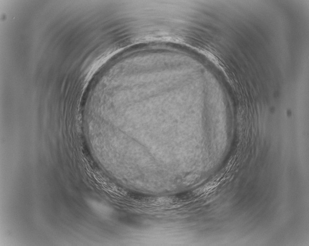 X0000058110879200510171241