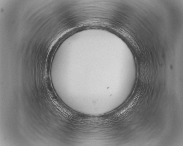 X0000058110880200510171241