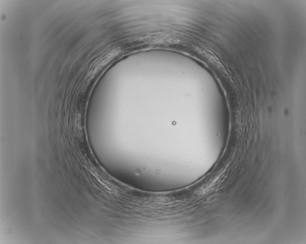 X0000058110881200510171241