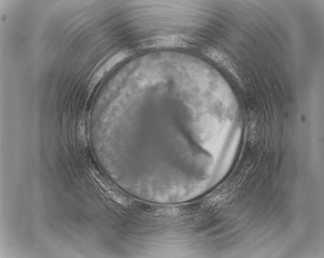 X0000058110882200510171241