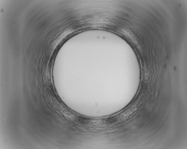 X0000058110883200510171241