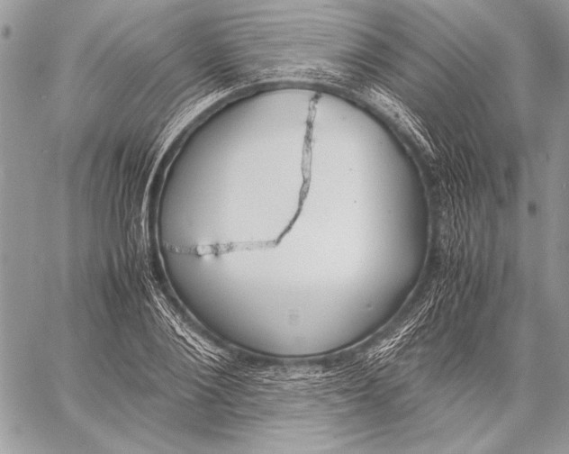 X0000058110884200510171241