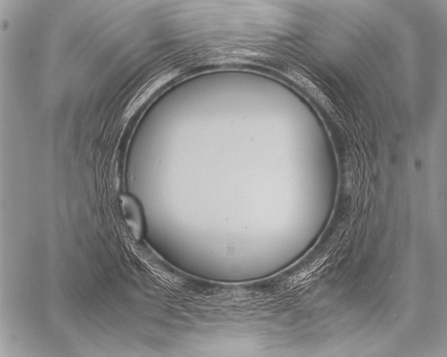 X0000058110885200510171241