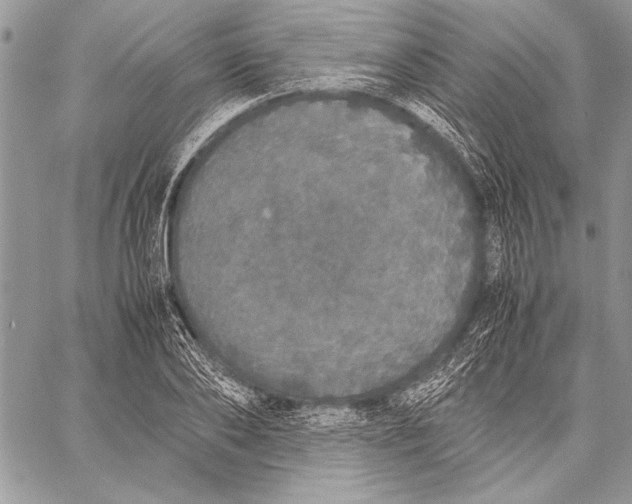 X0000058110886200510171241