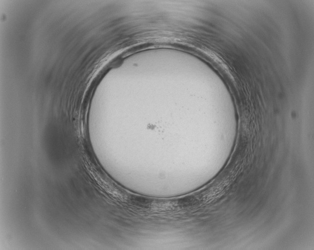 X0000058110887200510171241