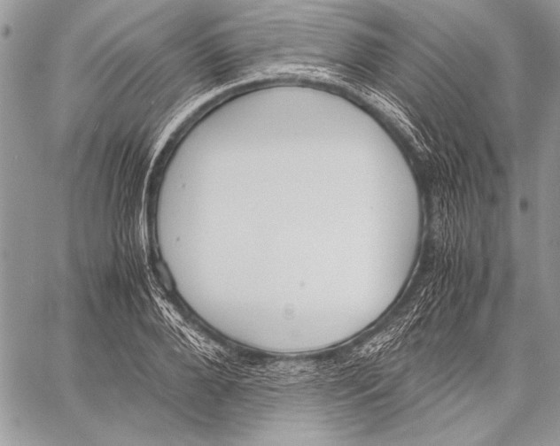 X0000058110888200510171241