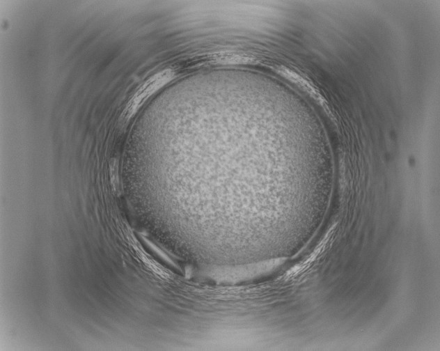 X0000058110889200510171241