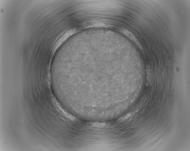 X0000058110890200510171241