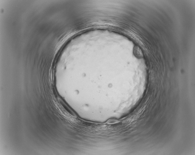 X0000058110891200510171241