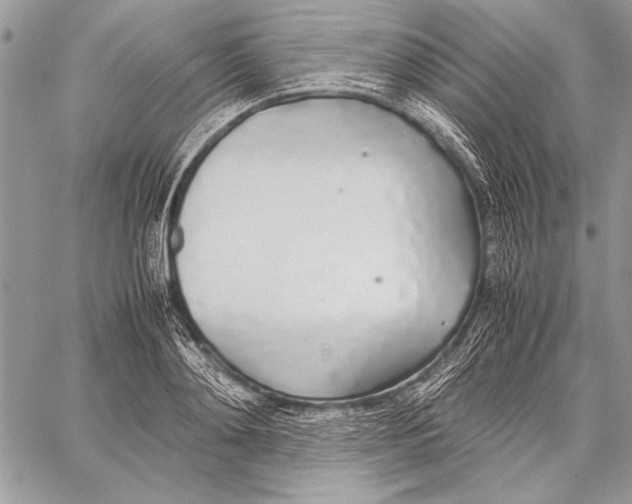 X0000058110892200510171241