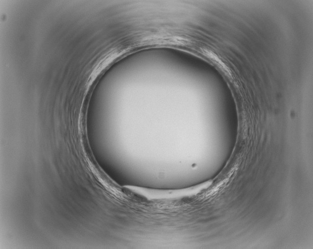 X0000058110893200510171241