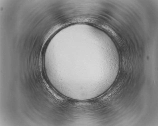 X0000058110894200510171241