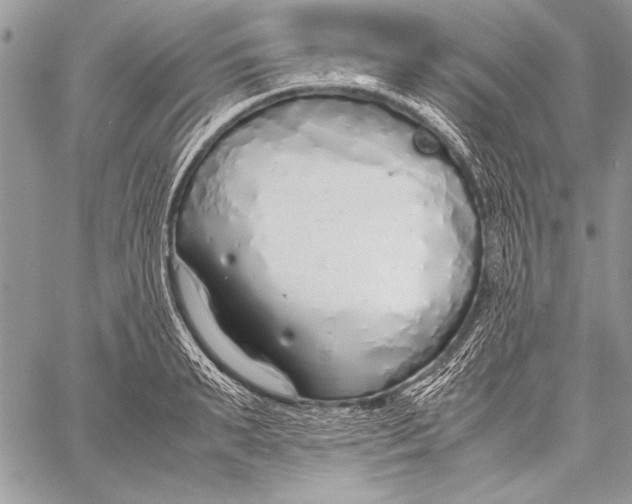 X0000058110895200510171241