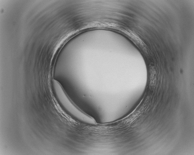 X0000058110896200510171241