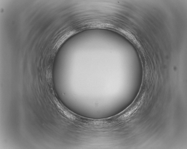 X0000058110897200510171241