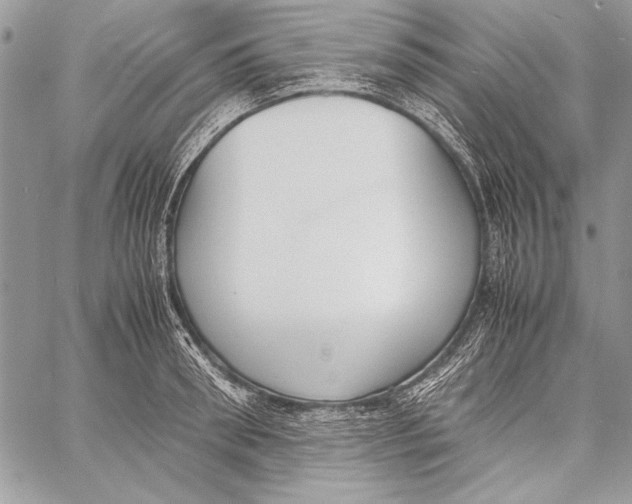 X0000058110898200510171241