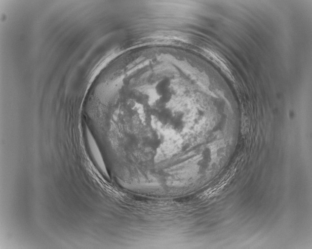 X0000058110899200510171241