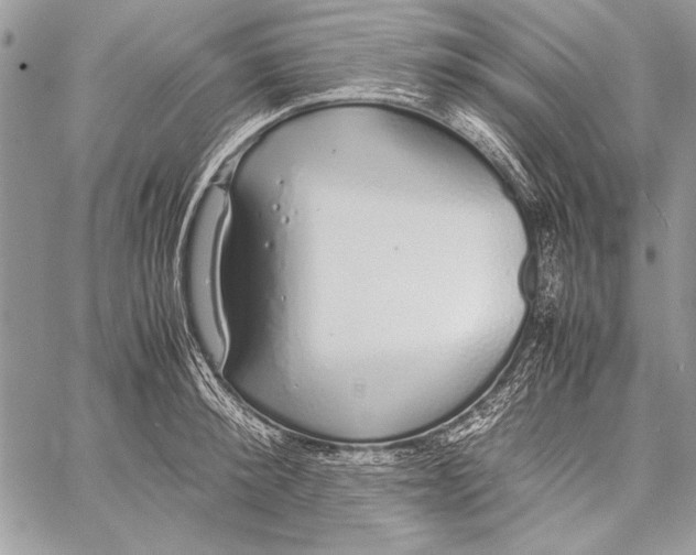 X0000058110900200510171241