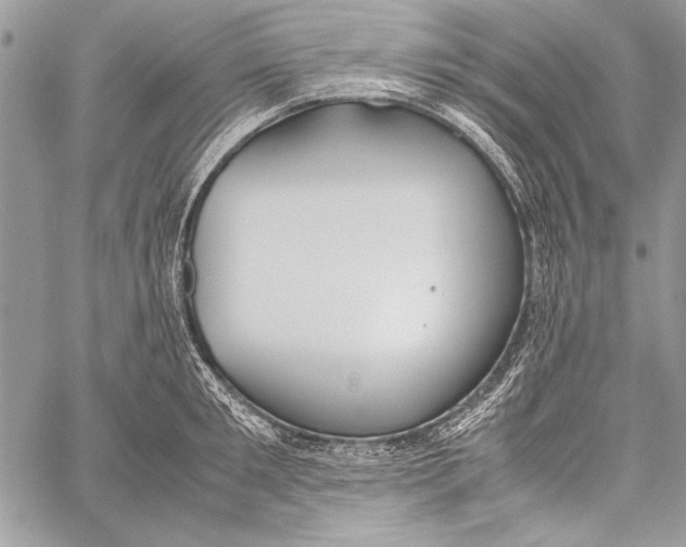 X0000058110901200510171241