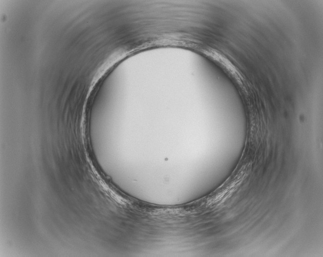 X0000058110902200510171241