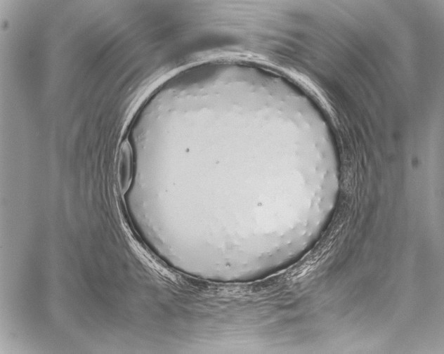 X0000058110903200510171241