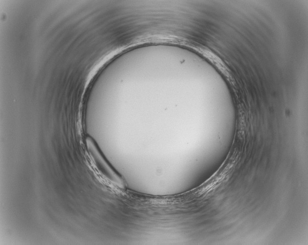 X0000058110904200510171241