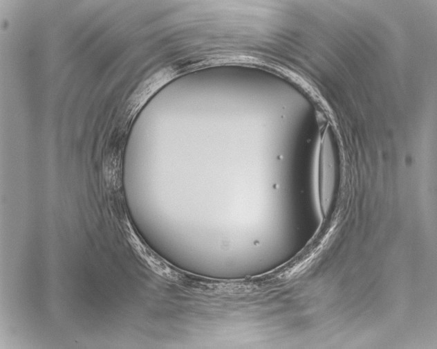 X0000058110905200510171241