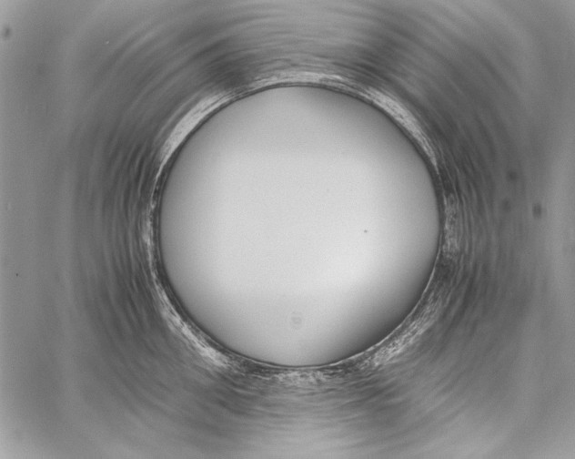 X0000058110906200510171241