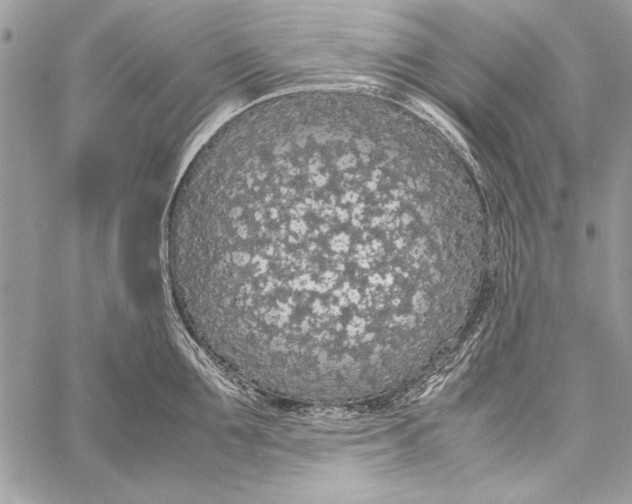 X0000058110907200510171241