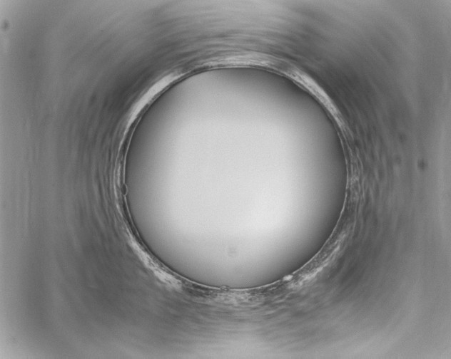 X0000058110909200510171241