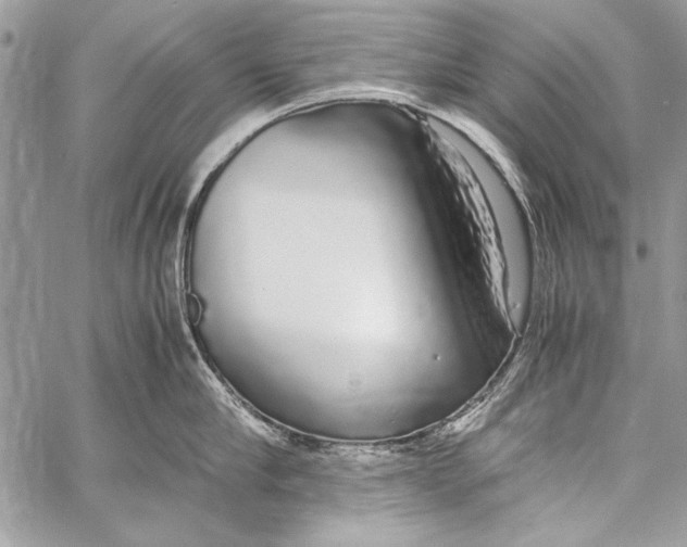 X0000058110910200510171241