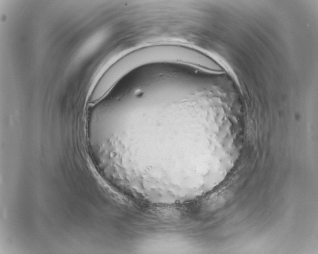 X0000058110911200510171241