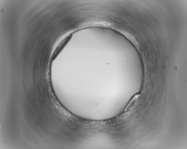 X0000058110912200510171241