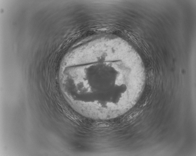 X0000058110913200510171240