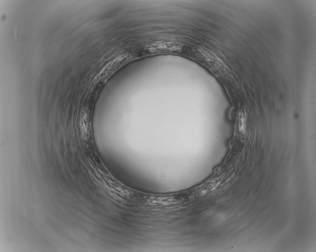 X0000058110915200510171240