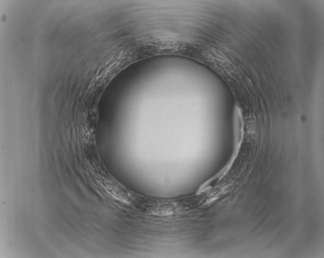 X0000058110916200510171240