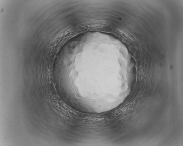 X0000058110917200510171240