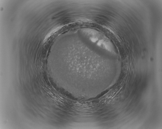 X0000058110919200510171240