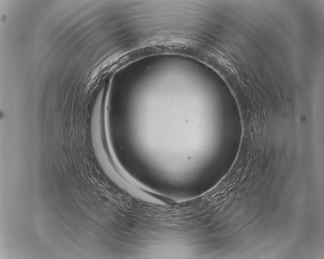 X0000058110920200510171240