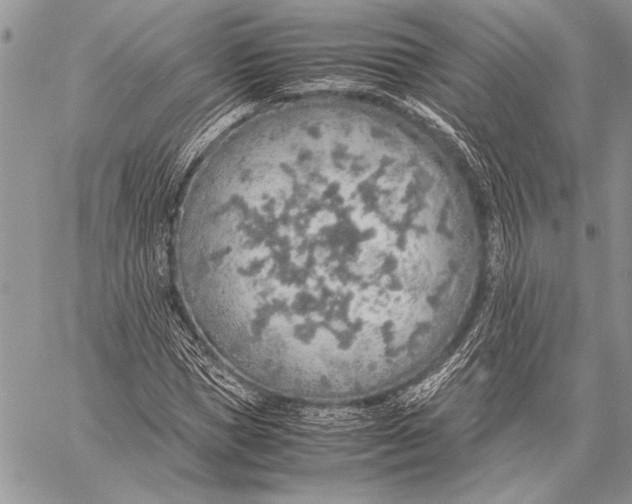 X0000058110921200510171240