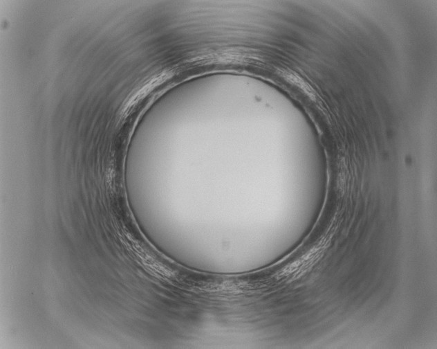 X0000058110922200510171240