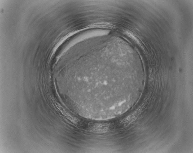 X0000058110923200510171240