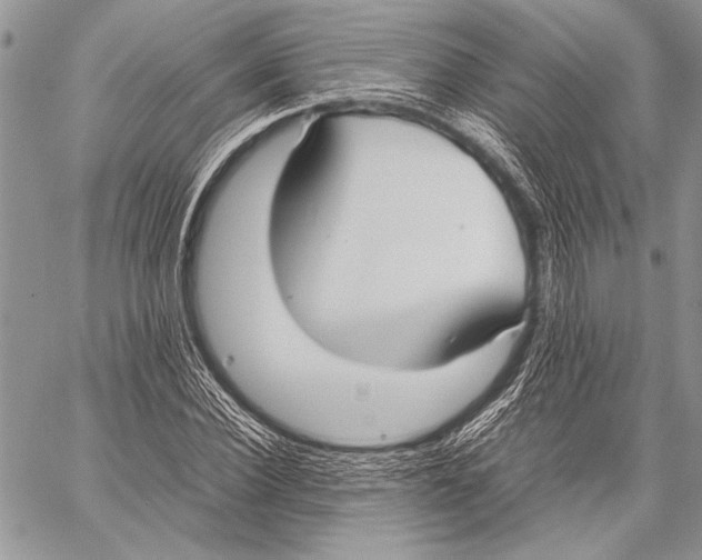 X0000058110924200510171240