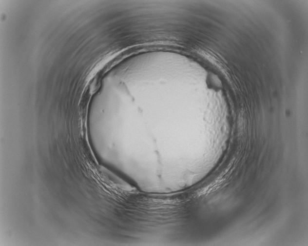 X0000058110925200510171240