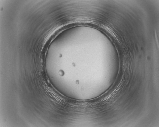 X0000058110926200510171240