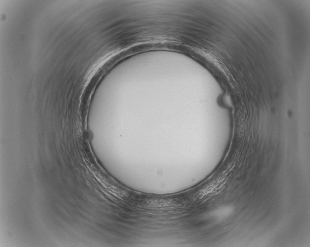 X0000058110927200510171240